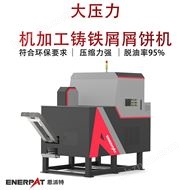 BM-D1090160吨铜刨花双出料口压饼机