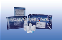 Wk10355人谷氨酸脱氢酶试剂盒