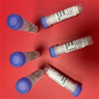 GG988-QAS3002激光粒度儀標樣 馬爾文庫號：M18617