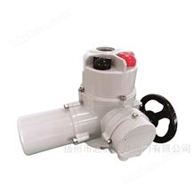 IS60K智能型電動(dòng)執(zhí)行機(jī)構(gòu)-揚(yáng)州超能