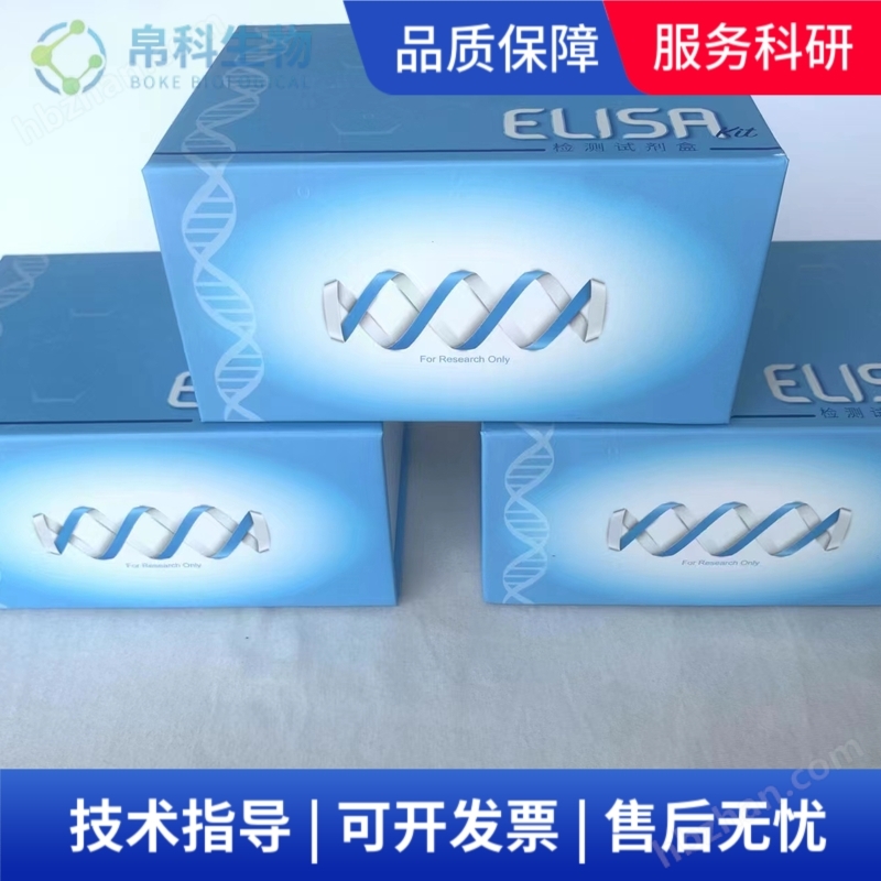 糖原含量測試盒可見分光光度法