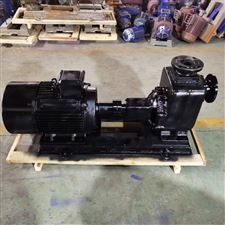 100ZW100-20-ZW无堵塞自吸排污泵