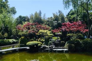 1.06億！江蘇江都高新區(qū)工業(yè)污水處理廠一期工程采購、施工、運(yùn)營一體化(PCO)招標(biāo)