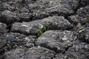 南京市建筑垃圾資源化利用再生產(chǎn)品信息名單更新（2025年10月）
