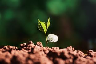 世界土壤日 | 我国土壤污染防治行业步入高质量发展新阶段