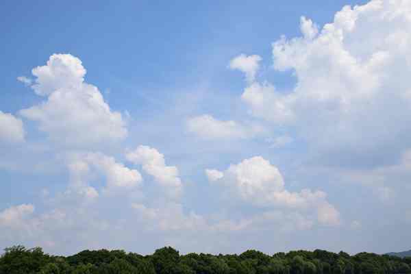 《關(guān)于進(jìn)一步加強(qiáng)消耗臭氧層物質(zhì)和氫氟碳化物管理的通知（征求意見稿）》公開征求意見