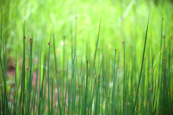 2025年度新疆維吾爾自治區(qū)排放源統(tǒng)計(jì)年報(bào)數(shù)據(jù)開始填報(bào)，這份信息請(qǐng)查收！