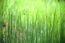 2025年度新疆維吾爾自治區(qū)排放源統(tǒng)計(jì)年報(bào)數(shù)據(jù)開始填報(bào)，這份信息請(qǐng)查收！