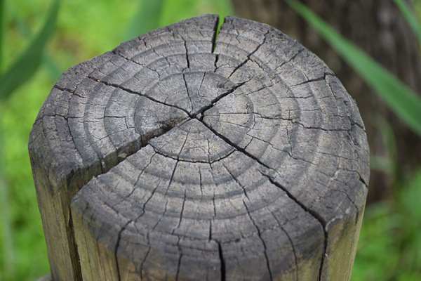 《吉林省固定資產(chǎn)投資項(xiàng)目節(jié)能審查和碳排放評價實(shí)施辦法》公開征求意見