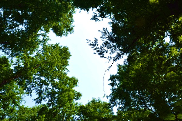 重慶：持續(xù)吸引民營(yíng)企業(yè)參與交通、城建、環(huán)保等領(lǐng)域重大項(xiàng)目投融建運(yùn)