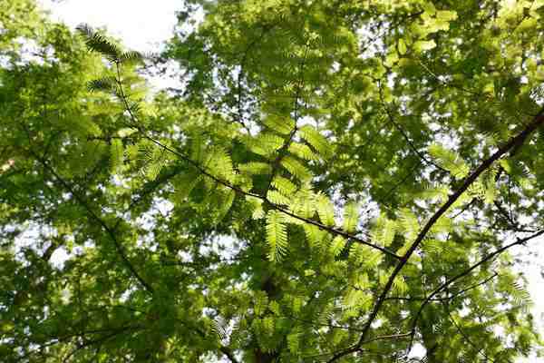 2026年第一批936億元超長(zhǎng)期特別國(guó)債支持設(shè)備更新資金已經(jīng)下達(dá)