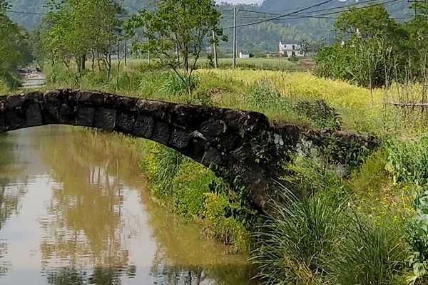 生態(tài)執(zhí)法拒絕“一罰了之”！珠海推行觀察期容錯