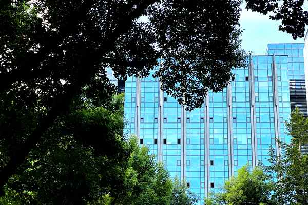 南水北调水网智科重庆公司正式成立