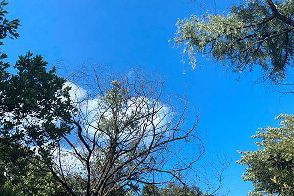 全文｜上海市生活垃圾焚烧飞灰回炉减量污染控制技术指南（试行）