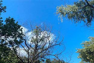 全文｜上海市生活垃圾焚烧飞灰回炉减量污染控制技术指南（试行）