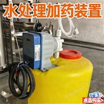 加藥裝置計量泵 水處理精準投加