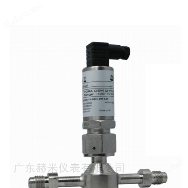 高純氣體露點(diǎn)變送器