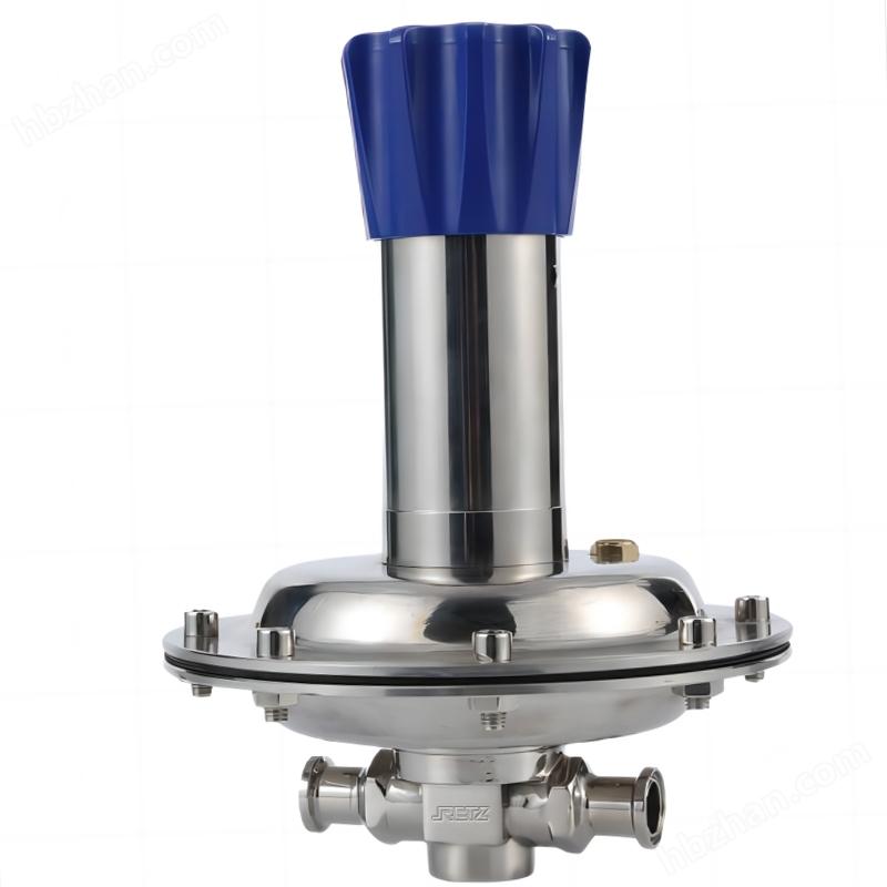 進(jìn)口衛(wèi)生級(jí)背壓閥