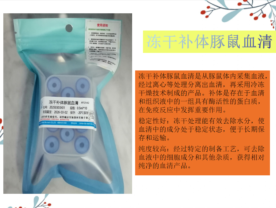 凍干補體豚鼠血清
