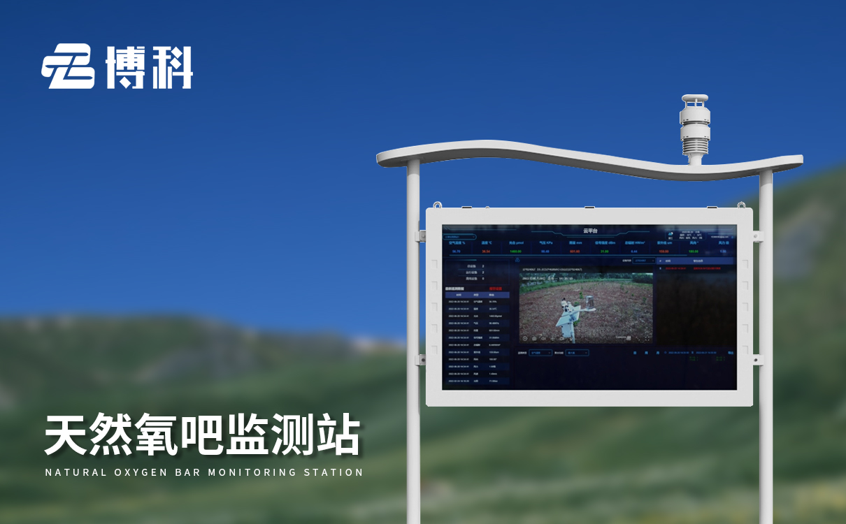 景區(qū)空氣負(fù)氧離子監(jiān)測系統(tǒng)