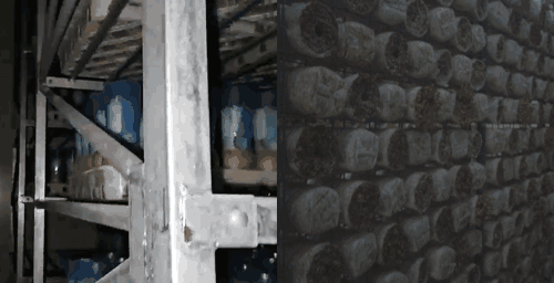 高溫？高濕？腐蝕？這款CO?變送器為何成為行業(yè)“隱形守護(hù)者”