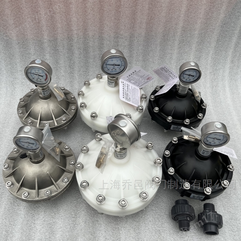 LGMZ膜片式脉冲阻尼器 LGMZ-V0.35L膜片式脉冲阻尼器PVDF