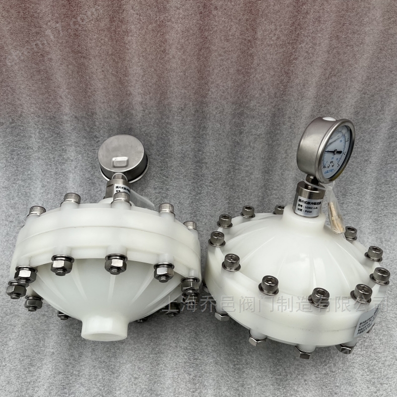 LGMZ-V0.35L膜片式脉冲阻尼器PVDF