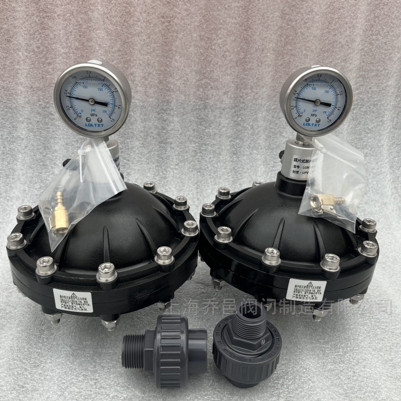 LGMZ-V0.35L膜片式脉冲阻尼器PVDF