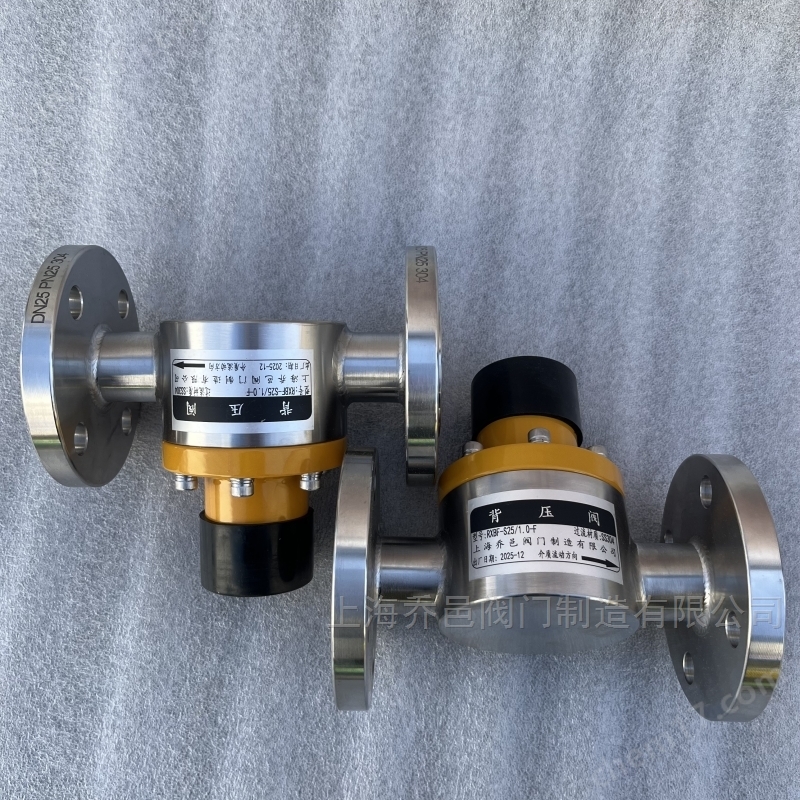 RXBF-S25/1.0-F背压阀