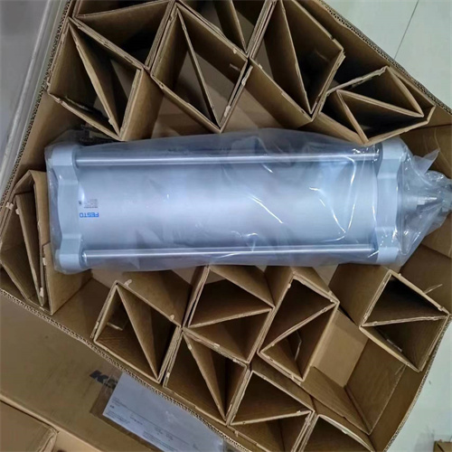 参考图FESTO费斯托气缸DSBC-125-250-C-PPSA