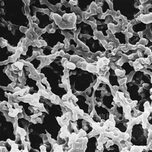 DAWP04700MF-MilliporeMCE 亲水膜滤器47mm/0.65μm