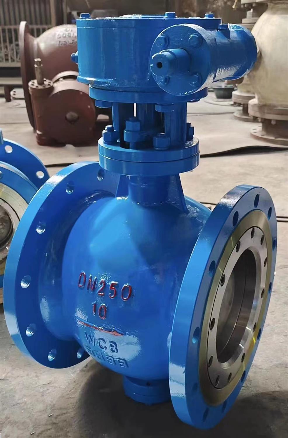 1678416763107865.jpg 半球閥.jpg